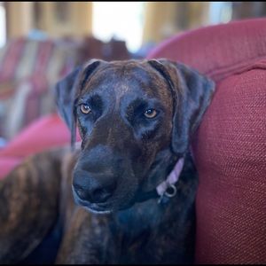 Meet your Posher, Micheline